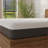 Mattresses Omne Fria 12 Inch Twin XL Gel Memory Foam Mattress with Cooling PCM Cover | Foam, Twin XL-1927711507