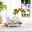 Plateau en bois Farmhouse-1781108985