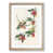Oak Framed selected