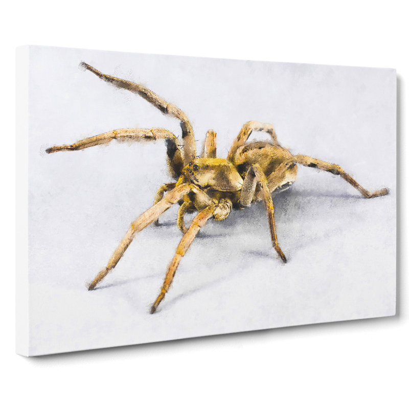 Tarantula Spider - Wrapped Canvas, 35cm H x 50cm W x 3cm D