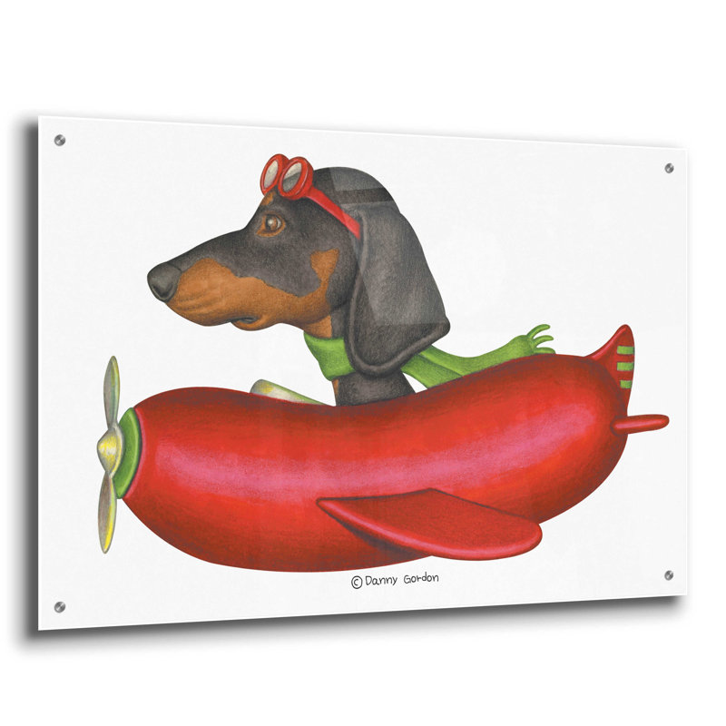 Teckel noir dans un avion rouge sur impression plastique / acrylique, H 24 po x l 36 po x P 0,2 po