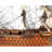 Nautical & Beach Model Car Or Vehicle