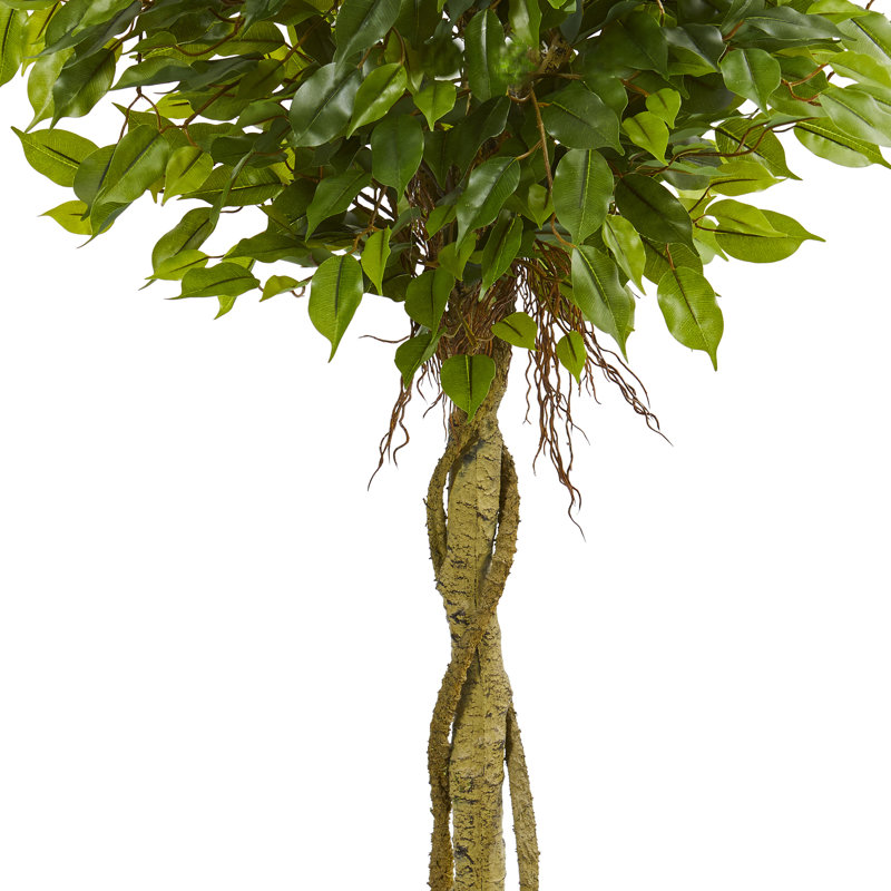 4 pi Arbre topiaire artificiel Ficus, résistant aux rayons UV (intérieur / extérieur)