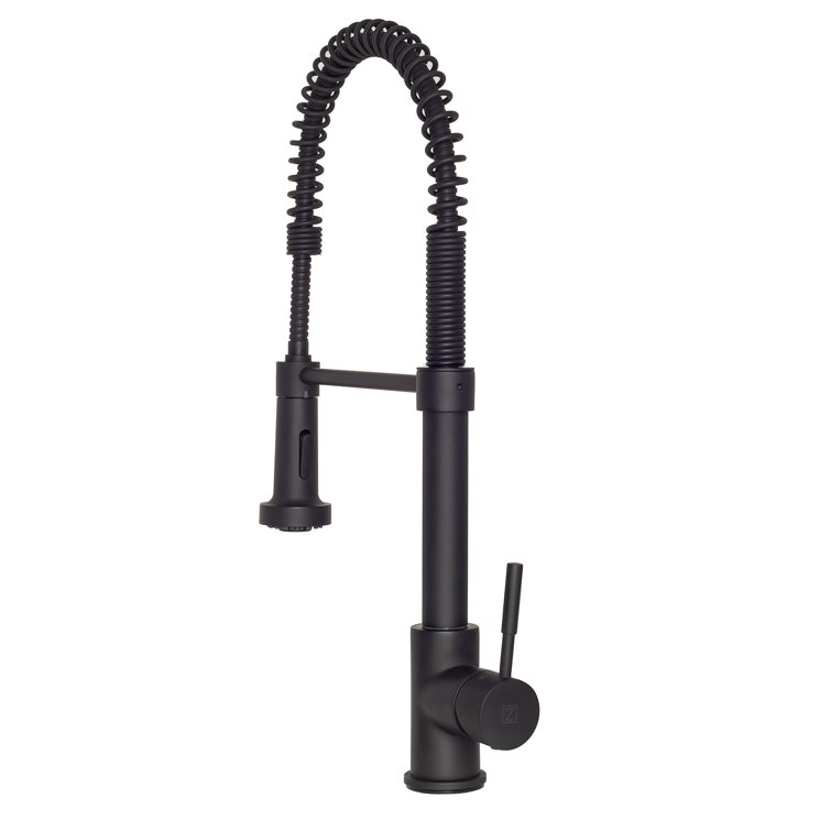 Apollo Pull Down Single Handle Kitchen Faucet with Side Spray and Accessories