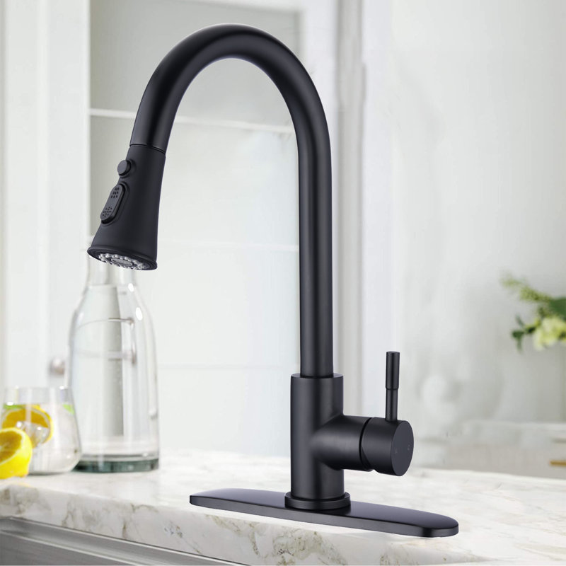 Robinet de cuisine à poignée simple en acier inoxydable avec accessoires, Noir mat