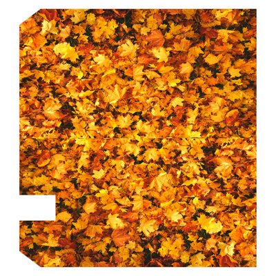 Housse pour boîte aux lettres en bois décoratif laisse automne