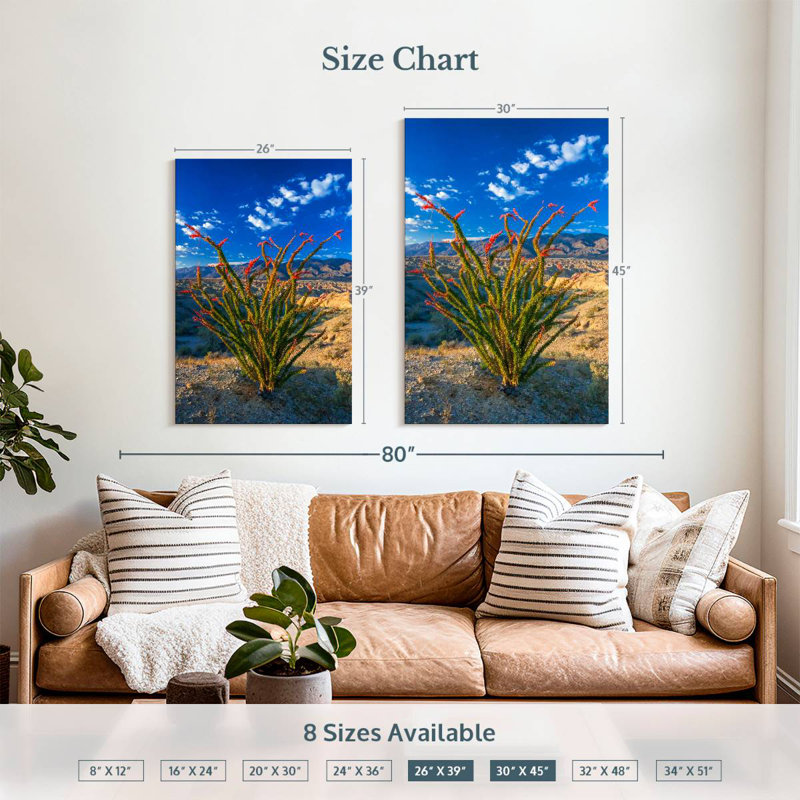 Harnek Ocotillo In Anza Borrego, 39" H x 26" W