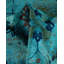 Fine Vibrance One-of-a-Kind 6' 1" X 9' 5" Hand Knotted Area Rug
