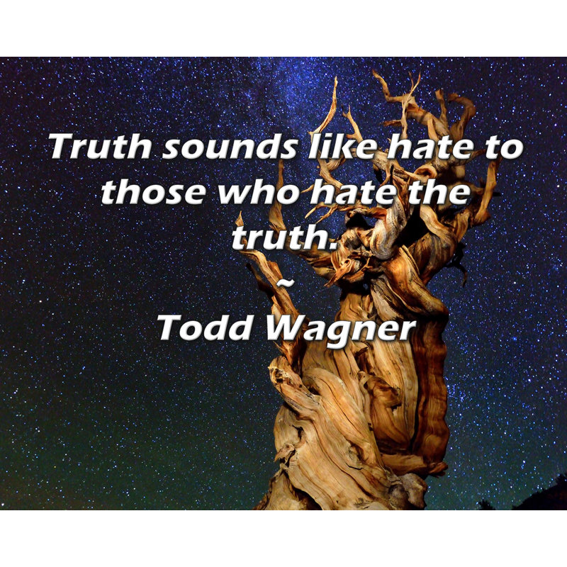 Trinx Gallery Wrapped Canvas By Todd Wagner: "Truth sounds like hate to those who hate the tr, 17" H x 24" W