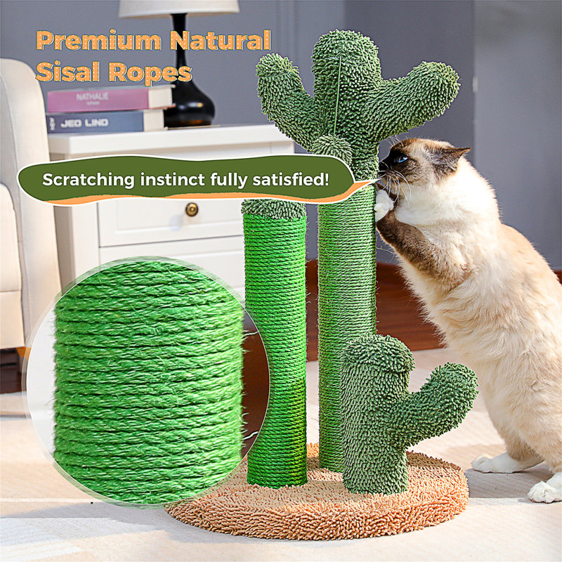Grattoir pour chat Oasis Series