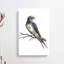 Swallow by Johan Teyler - Wrapped Canvas-55358348