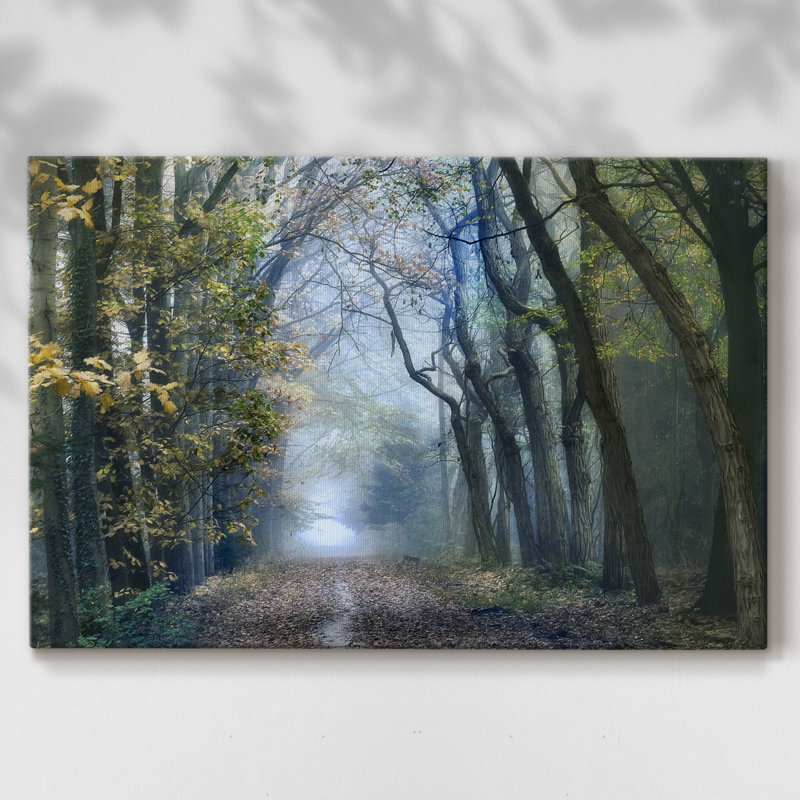 Forêt d'acacia - Cavas enveloppés de galerie, 24 x 36