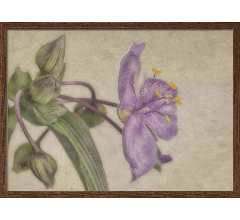 "Mauve fleur", art mural texturé encadré, H 10 po x l 14 po, Noyer