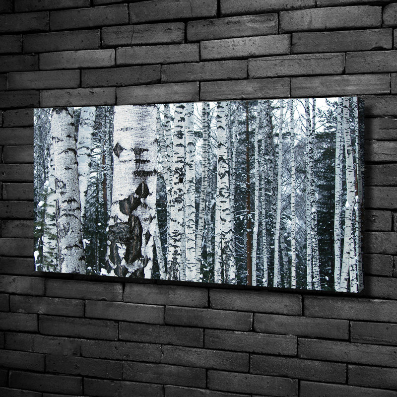 Birch Trees - Wrapped Canvas Print, 50cm H x 100cm W x 2cm D, Canvas