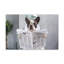 No Frame Print on Canvas-1239654884