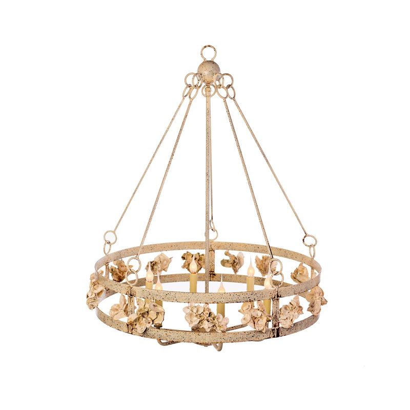 Oyster Shell 5 - Light Chandelier