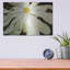 «White Flower» par Dennis Frates-185600226