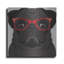 "Carlin portant des lunettes de hipster" par les affiliés Furbaby-789883613