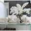 Phaleanopsis and California Sandblasted Ghostwood Orchids Centerpiece in Vase