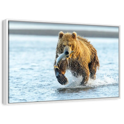 Grizzly avec saumon