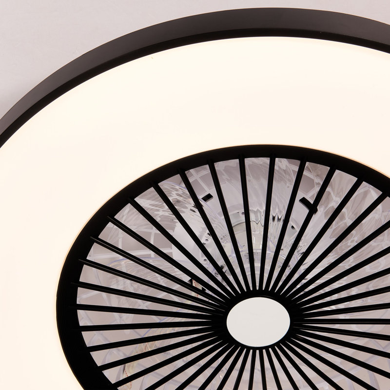 Modern Rgb Flush Mount Ceiling Fan With Light And Remote/app Led Dimmable Light