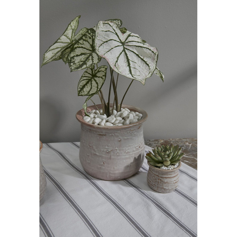 Kimba Handmade Ceramic Pot Planter