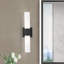 Cailum 2 Light Frosted Dimmable Vanity Light-2136842730