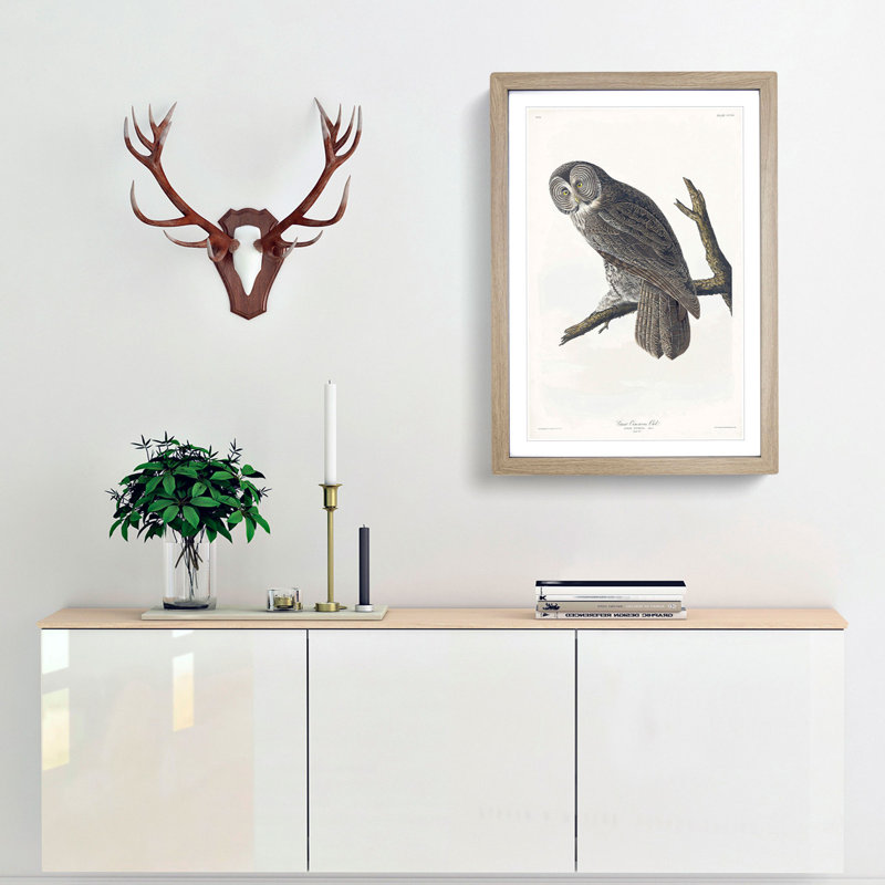 Great Cinereous Owl by John James Audubon - Picture Frame Painting Print, 65cm H x 48cm W x 2cm D, Oak Framed