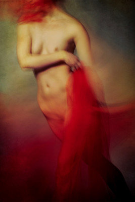 Wrapped Canvas Print, 60.96 cm H x 91.44 cm W