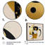 «Covell Golden and Black Sphere II», reproduction sur toile-360098661-360098660