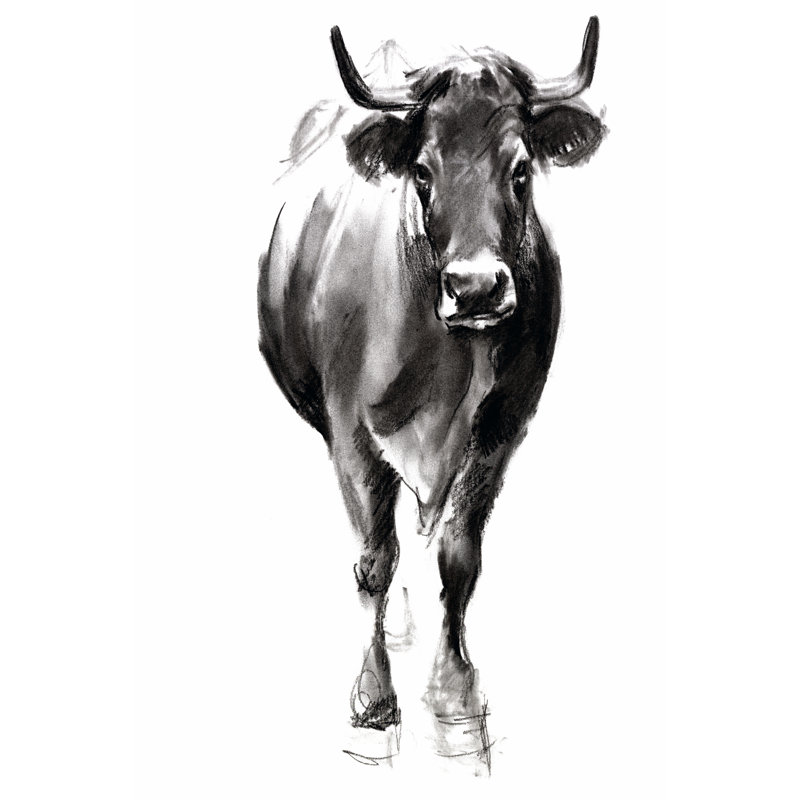 Charcoal Cattle II by Jennifer Paxton Parker - Wrapped Canvas Painting, 46cm H x 30cm W