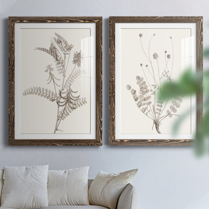 «Neutral Botanical Study VIIP», reproduction d'art encadrée - prête à être accrochée, Papier, cadre noyer, Blanc