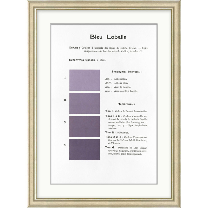 Violet 6 Print by Danielle Rollins