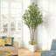 Olive artificielle d'intérieur 6 pi de hauteur pour décoration de bureau personnel