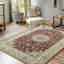 Dart Oriental Area Rug-682760575