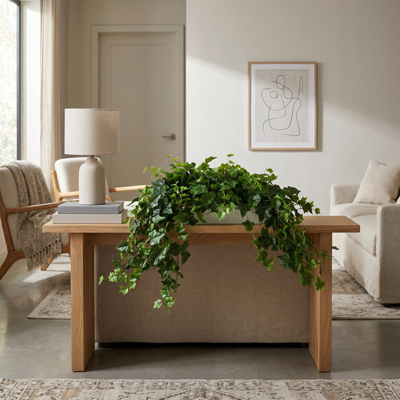 Plante de 14 po
