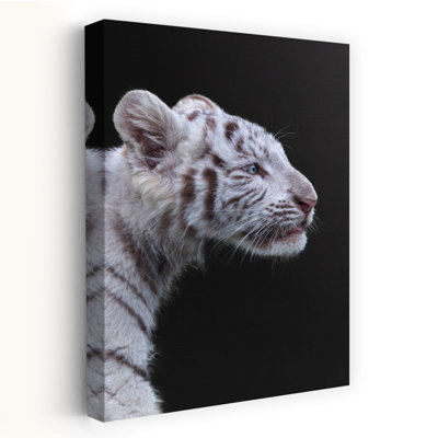 Majestic White Tiger Cub Contemporary Cat Tiger Wall Art Print 1 Piece Wrapped Canvas Wall Art