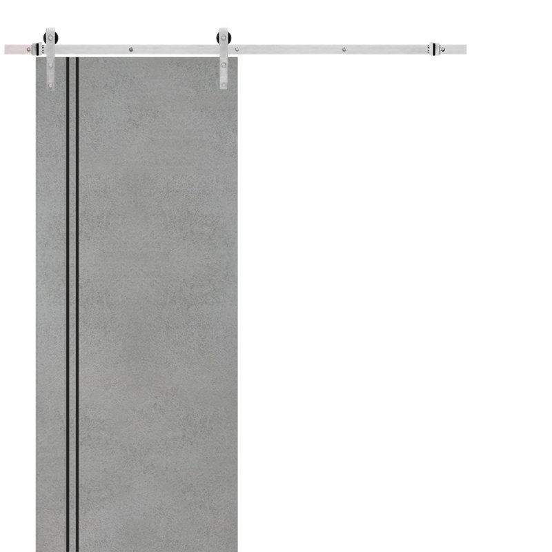 Porte de grange en bois massif massif, Béton, 24 po x 96 po