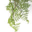 100cm Faux Plant-65743088