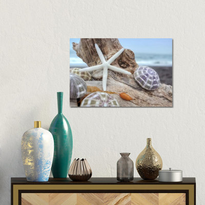 Crescent Beach Shells VII 1 Piece Wrapped Canvas Wall Art