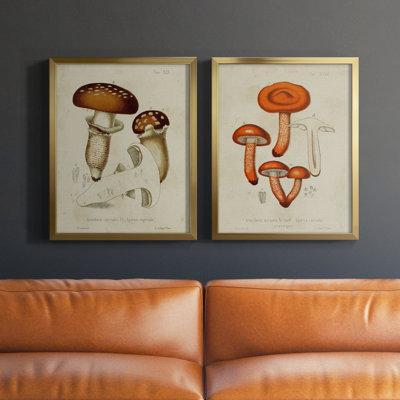 Toile encadrée de qualité supérieure Mushroom Variétés III - prête à être accrochée