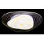Montiel Acrylic LED Flush Mount