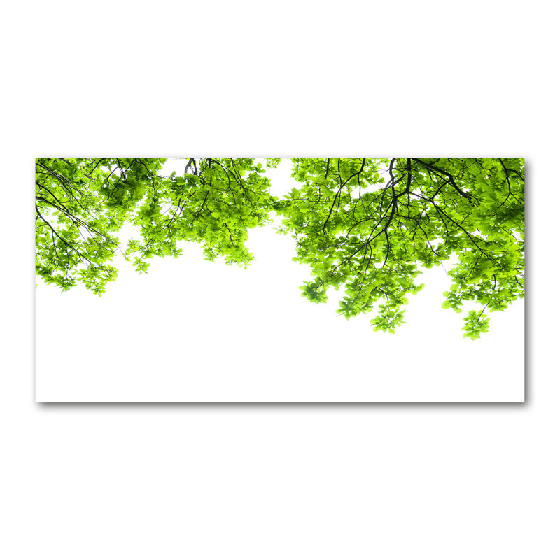 Oak Leaves - No Frame Painting, Canvas, 50cm H x 100cm W x 2cm D