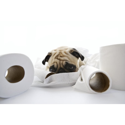 Pukster Puck par Terryj