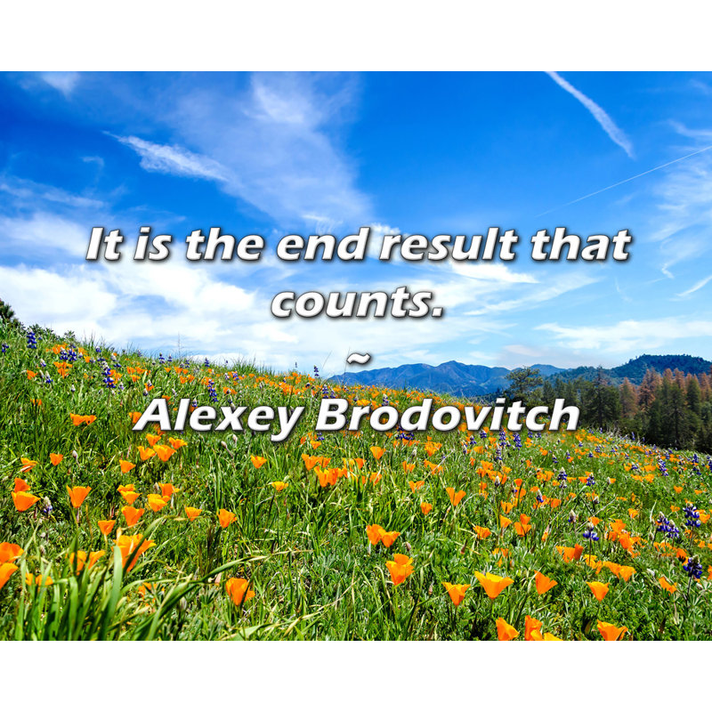 Alexey Brodovitch Quote: It is the end result that counts.