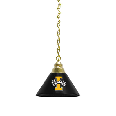 1 - Light Single Pendant