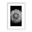 Nature Inspired Marigold by  - Picture Frame Photograph on Paper-81388030-131284511-131284589