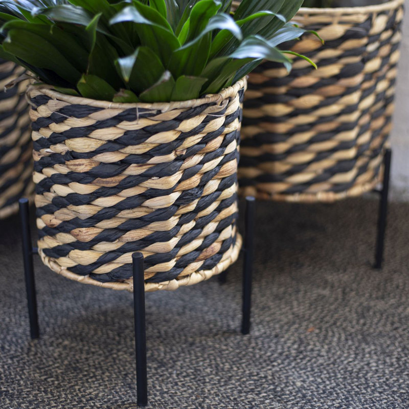 ENSEMBLE DE 3 PANIERS À PLANTES DOUBLÉS