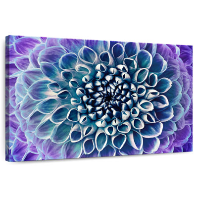 Bleu / mauve / dahlia