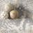 Shirley Snake Print Area Rug-2044512163